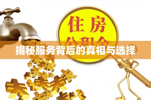 白银揭秘服务背后的真相与选择