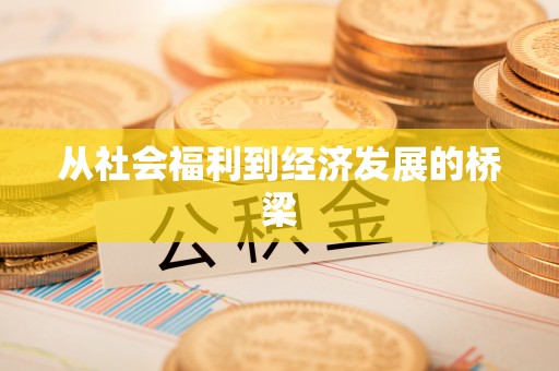 白银从社会福利到经济发展的桥梁