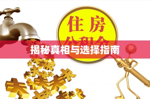 白银揭秘真相与选择指南