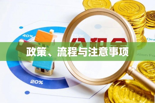 白银政策、流程与注意事项
