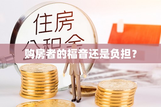 白银购房者的福音还是负担？