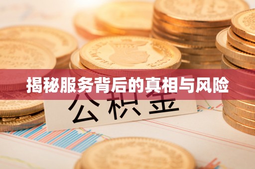 白银揭秘服务背后的真相与风险