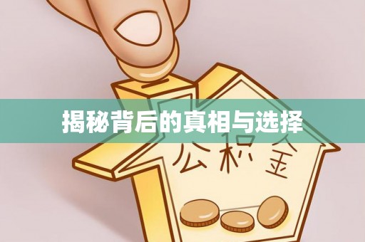 白银揭秘背后的真相与选择