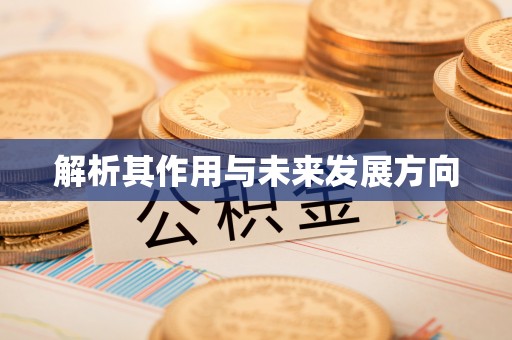 白银解析其作用与未来发展方向