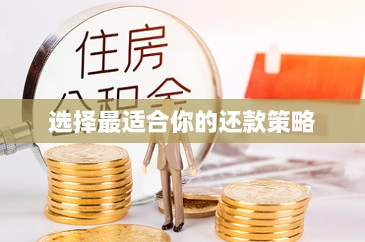 白银选择最适合你的还款策略