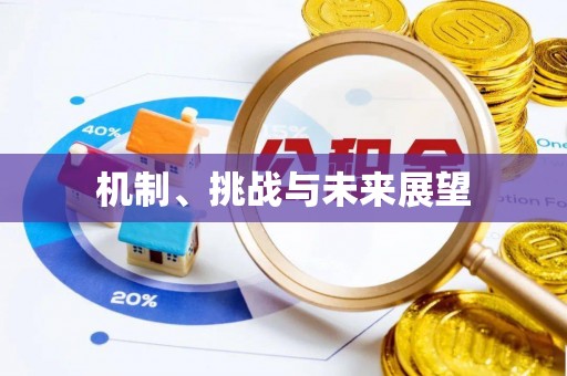 白银机制、挑战与未来展望